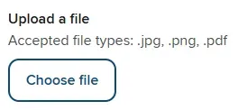File Input