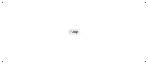 Chip