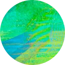 Wise Design logo